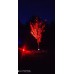 СВЕТОДИОДНЫЙ УЛИЧНЫЙ СВЕТИЛЬНИК - BEGHLER-FLOOD-9W-(Красный свет)IP65